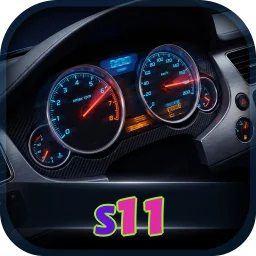 s11